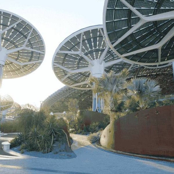 تور ژاپن ویژه نمایشگاه expo2025