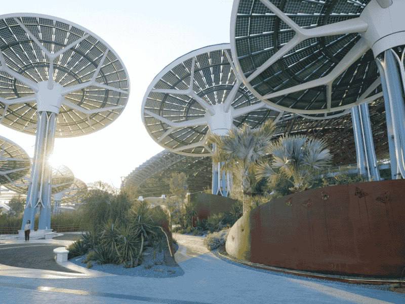 تور ژاپن ویژه نمایشگاه expo2025