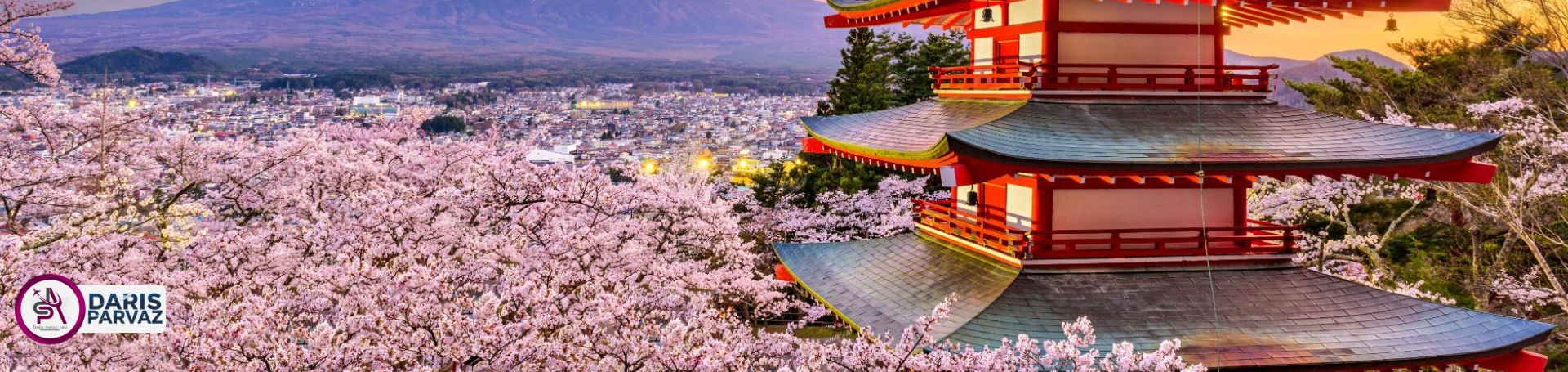 تور ژاپن
