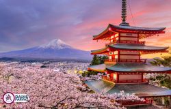 تور ژاپن ویژه نوروز 1405